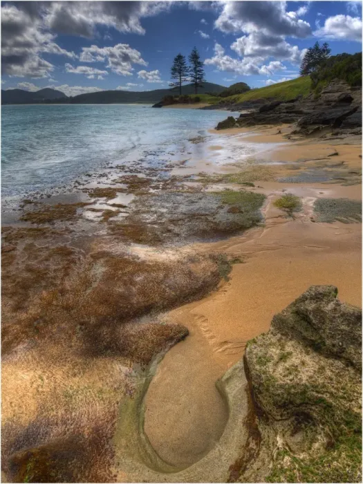 Framed Print : Foreshore near Capella South, Lord howe Island, New south Wales, Australia Framed Print : Foreshore near Capella South, Lord howe Island, New south Wales, Australia