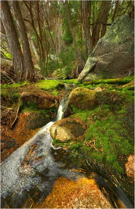 Framed Print : Fotheringate creek and rainforest, Lacota, Strzelecki range, Flinders Island Tasmania
