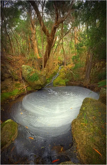 Framed Print : Fotheringate creek and rainforest, Lacotta, Flinders Island, Bass Strait, Tasmania, Australia Framed Print : Fotheringate creek and rainforest, Lacotta, Flinders Island, Bass Strait, Tasmania, Australia