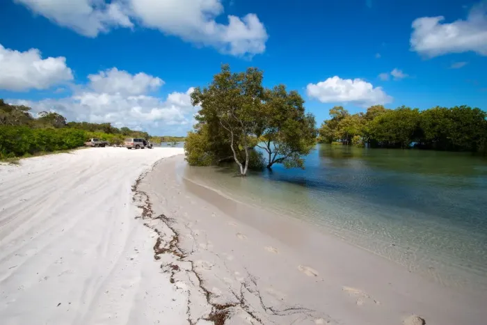 Framed Print : Fraser Island Framed Print : Fraser Island