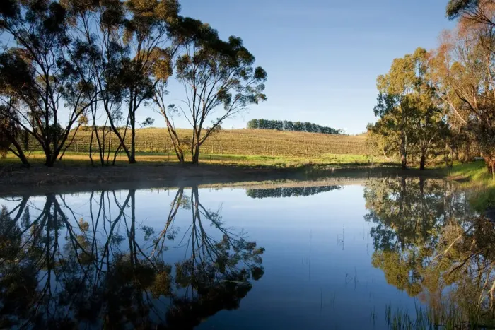 Framed Print : Fresh water dam Clare Valley