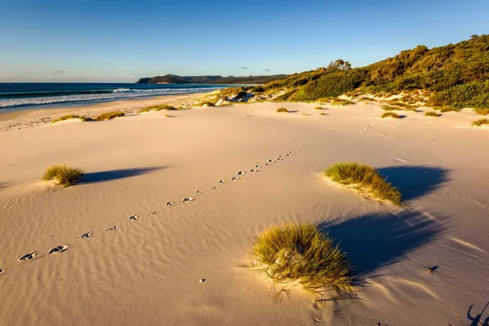 Framed Print : Friendly Beaches at Freycinet National Park