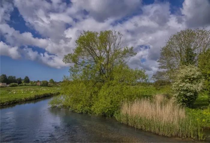 Framed Print : The Frome river at Wool Framed Print : The Frome river at Wool