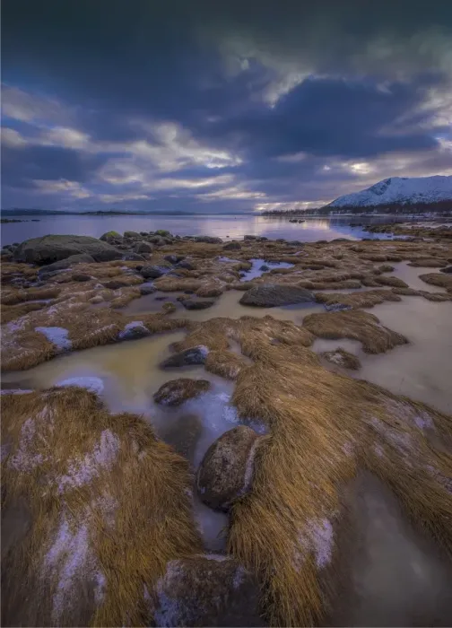 Framed Print : Frozen Grassland along the coastline in Lofoten