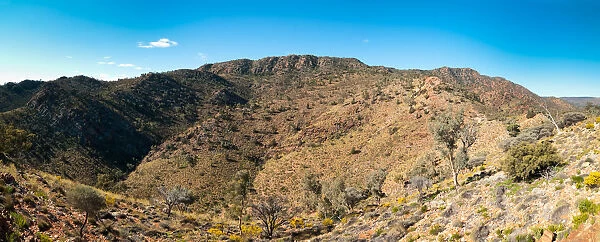 Gammon ranges panorama, outback South Australia