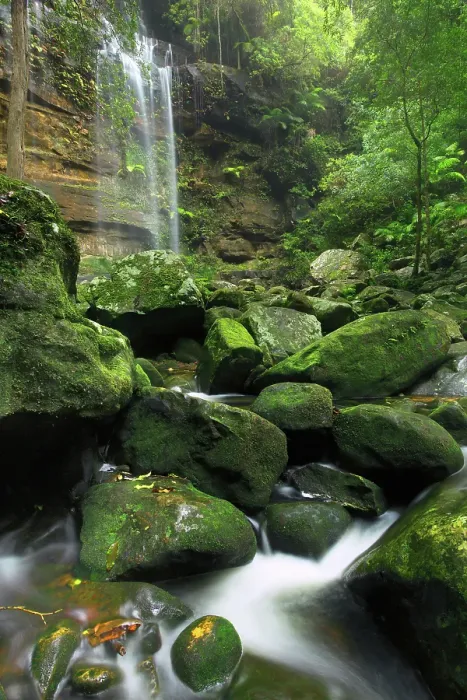 Framed Print : Gap Creek Falls