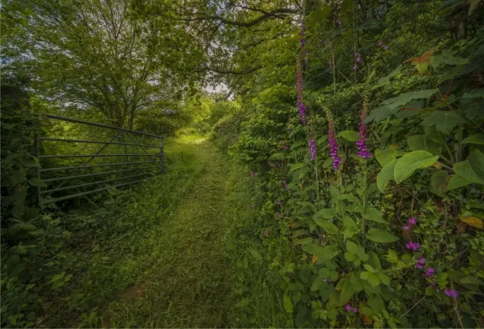 Framed Print : Gateway at west down