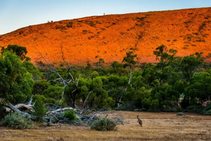 Framed Print : Gawler Ranges at Eyre Peninsula, South Australia Framed Print : Gawler Ranges at Eyre Peninsula, South Australia