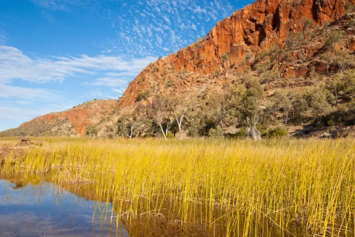 Framed Print : Glen Helen Gorge in Macdonnell Ranges Australia
