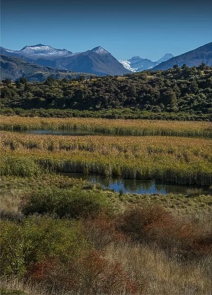 Glendhu bay view, South Island, New Zealand