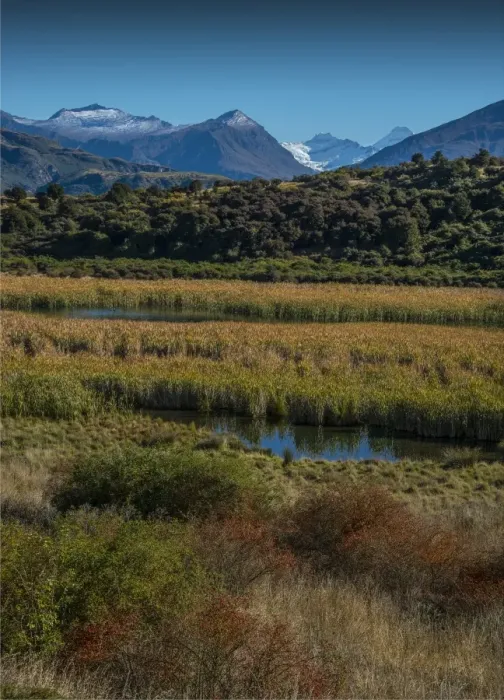 Framed Print : Glendhu bay view, South Island, New Zealand