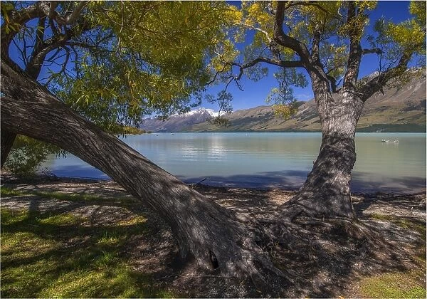 Glenorchy, Lake Wakatipu, South Island New Zealand