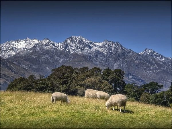 Glenorchy, South Island New Zealand