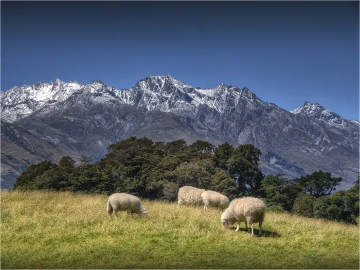 Framed Print : Glenorchy, South Island New Zealand Framed Print : Glenorchy, South Island New Zealand