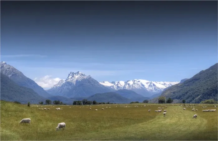 Framed Print : Glenorchy, South Island New Zealand