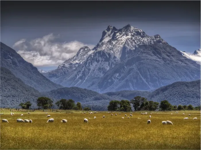 Framed Print : Glenorchy, South Island New Zealand