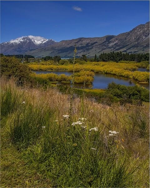Glenorchy, Wetlands, South Island New Zealand