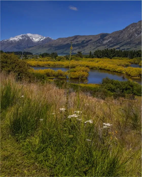 Framed Print : Glenorchy, Wetlands, South Island New Zealand Framed Print : Glenorchy, Wetlands, South Island New Zealand