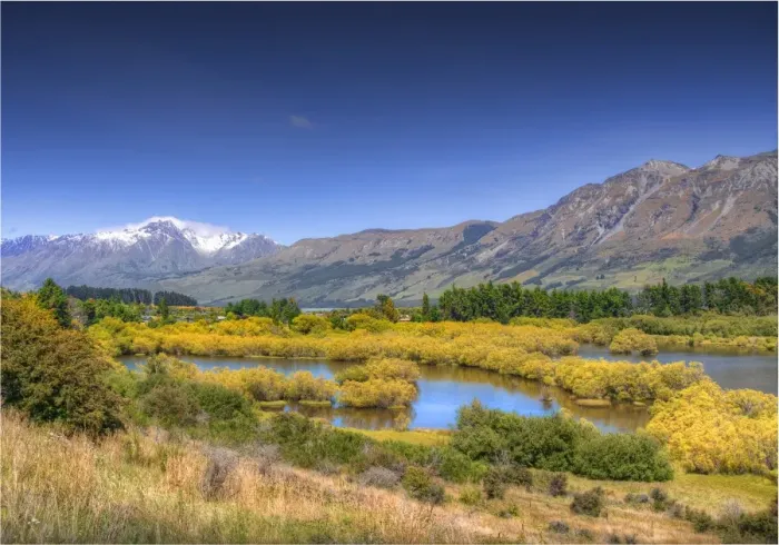 Framed Print : Glenorchy, Wetlands, South Island New Zealand Framed Print : Glenorchy, Wetlands, South Island New Zealand