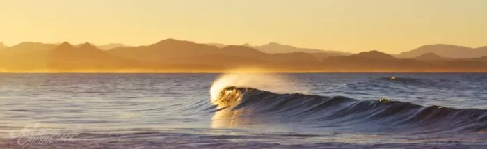 Framed Print : Golden Curl || Byron Bay