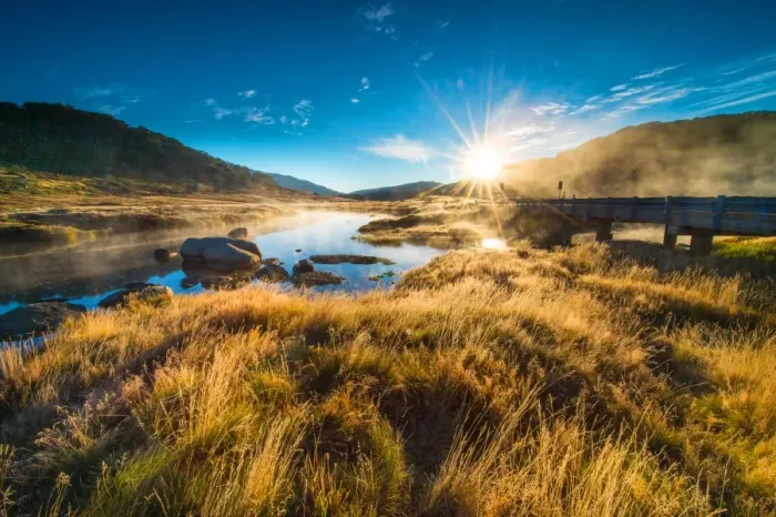Framed Print : Golden grass