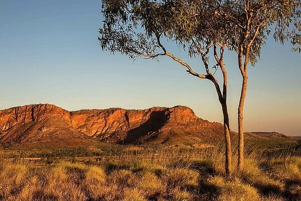 Golden light on an outback landscape