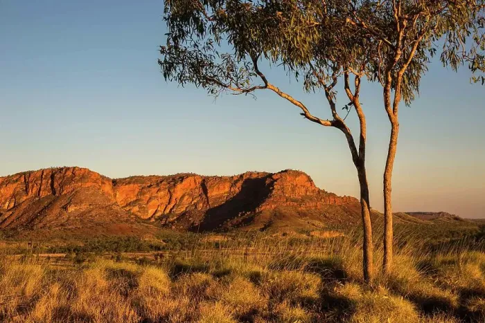 Framed Print : Golden light on an outback landscape Framed Print : Golden light on an outback landscape