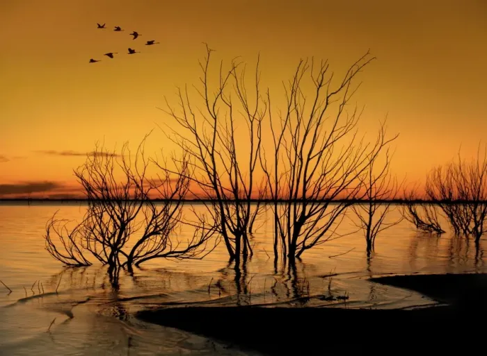 Framed Print : Golden sunset Framed Print : Golden sunset