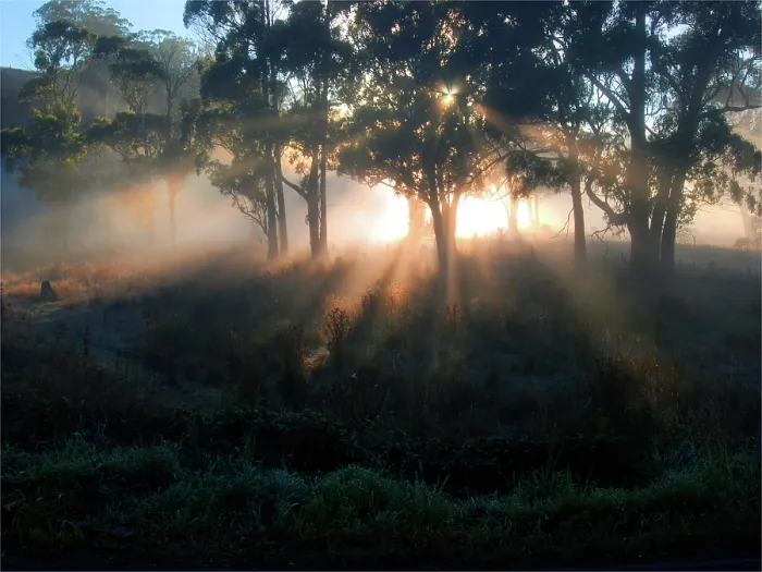 Framed Print : Gorgeous dawn backlight in the rural area at Paradise