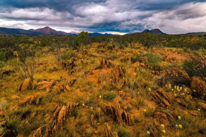 Framed Print : Gost Gum Flat at West Macdonnell Ranges