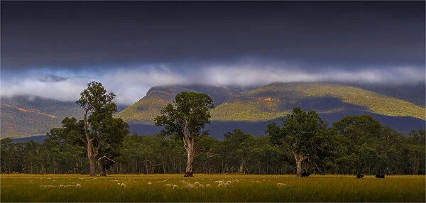 Grampians view of the mountains from Moyston, Victoria