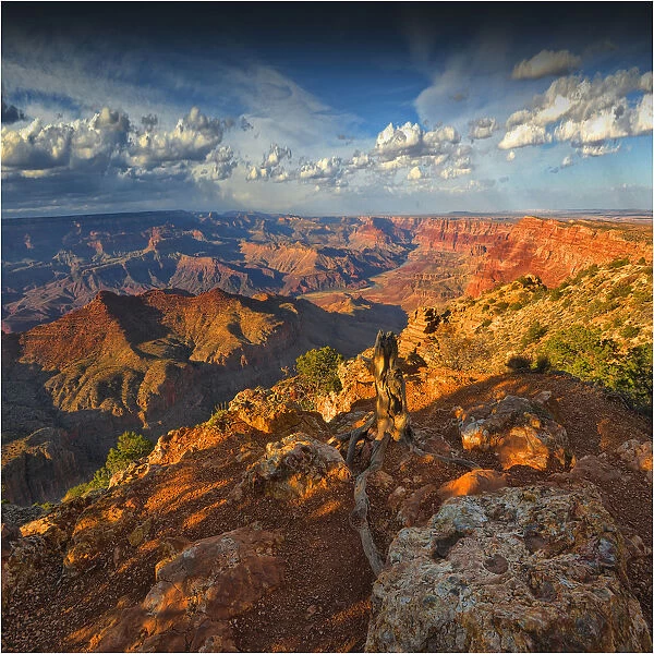Grand Canyon, Arizona, United States of America