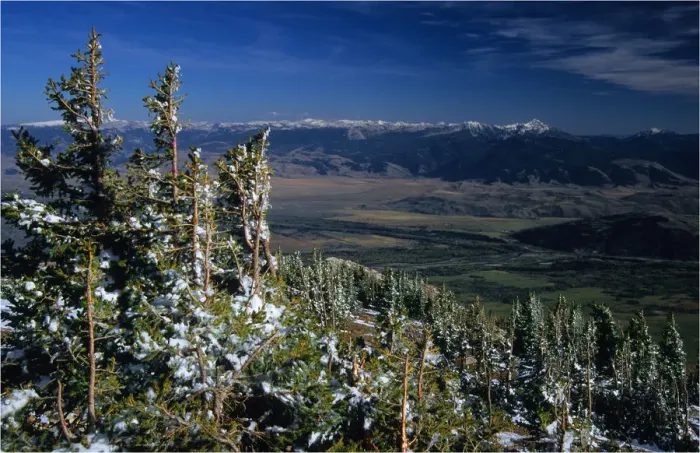 Framed Print : Grand Teton National Park, Wyoming, United States