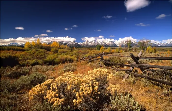 Framed Print : The Grand Tetons National Park, Wyoming, western United States of America Framed Print : The Grand Tetons National Park, Wyoming, western United States of America