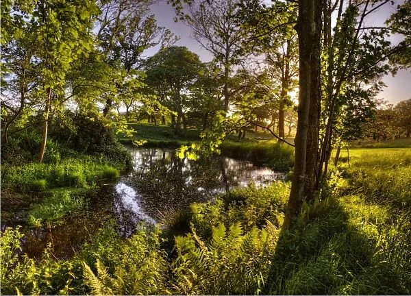 Grange Heath, a very scenic rural area near the Isle of Purbeck, Dorset, England