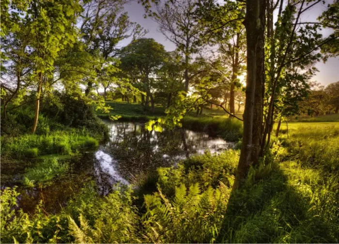 Framed Print : Grange Heath, a very scenic rural area near the Isle of Purbeck, Dorset, England Framed Print : Grange Heath, a very scenic rural area near the Isle of Purbeck, Dorset, England
