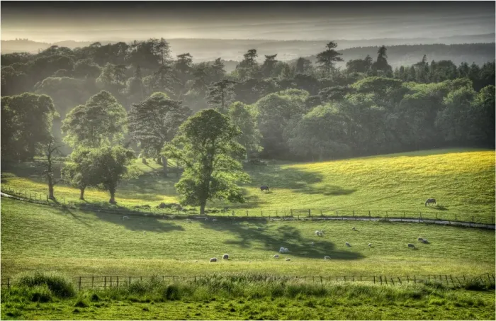 Framed Print : Grange Heath, a very scenic rural area near the Isle of Purbeck, Dorset, England Framed Print : Grange Heath, a very scenic rural area near the Isle of Purbeck, Dorset, England
