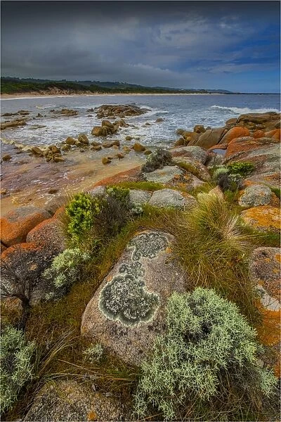 Grassy Harbour and beach on the South Eastern coastline of King Island, Bass Strait, Tasmania