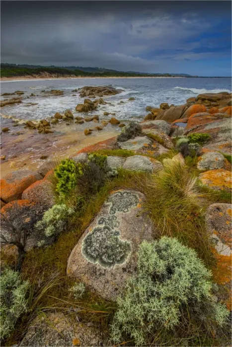 Framed Print : Grassy Harbour and beach on the South Eastern coastline of King Island, Bass Strait, Tasmania