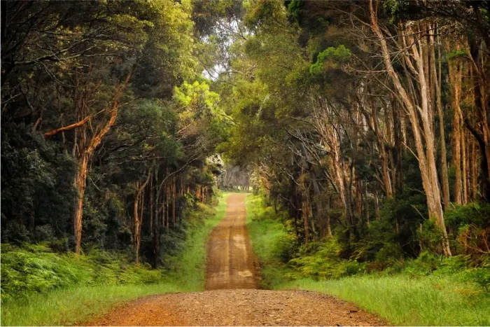 Framed Print : A gravelled rural road into farmland, King Island, Bass Strait, Tasmania, Australia Framed Print : A gravelled rural road into farmland, King Island, Bass Strait, Tasmania, Australia