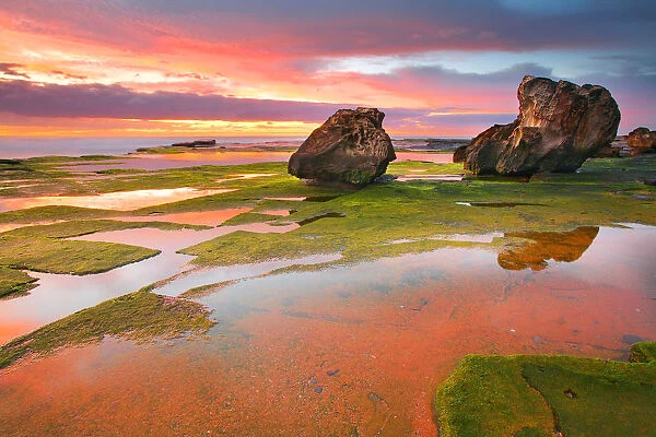 Grean moss on rocks and reflection of red sunrise