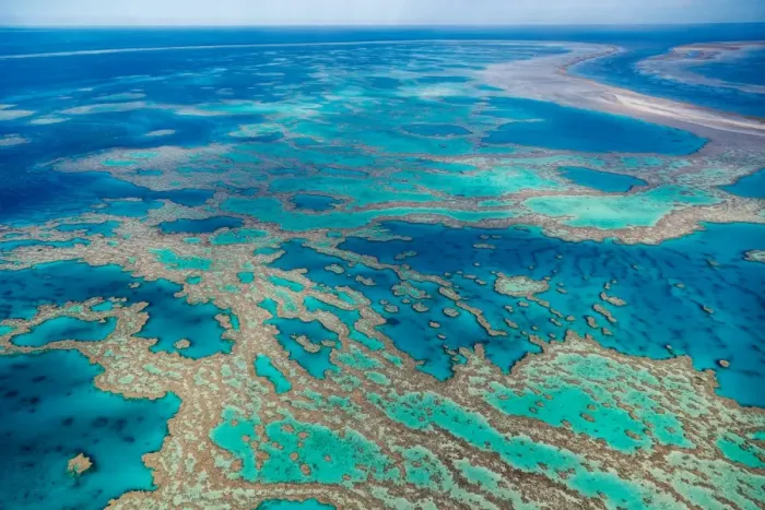 Framed Print : Great Barrier Reef Framed Print : Great Barrier Reef