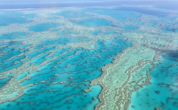 Framed Print : Great Barrier Reef Framed Print : Great Barrier Reef