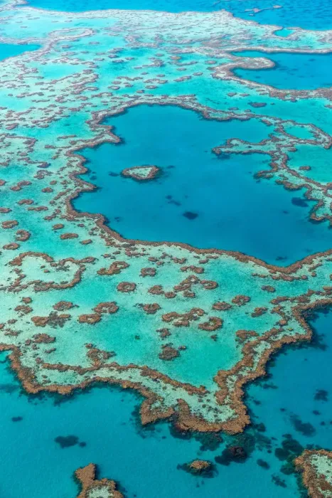 Framed Print : Great Barrier Reef Framed Print : Great Barrier Reef
