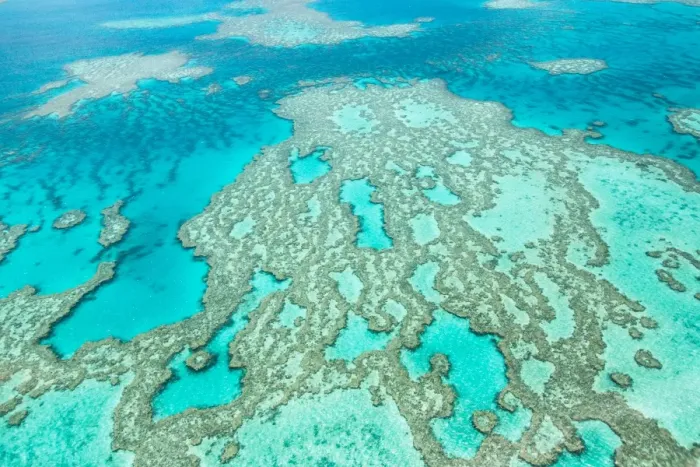 Framed Print : Great Barrier Reef Framed Print : Great Barrier Reef