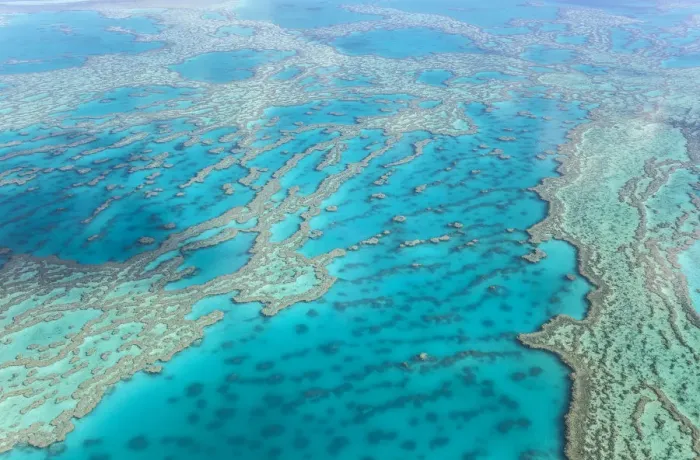 Framed Print : Great Barrier Reef Framed Print : Great Barrier Reef