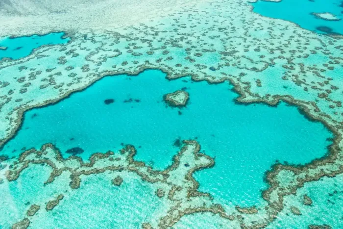 Framed Print : Great Barrier Reef Framed Print : Great Barrier Reef