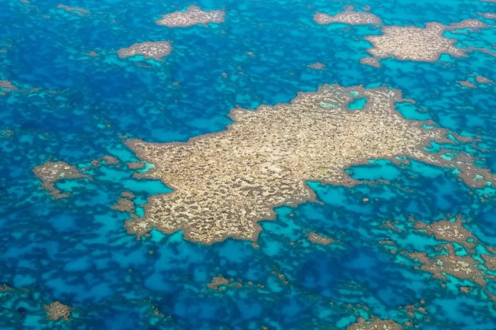 Framed Print : Great Barrier Reef