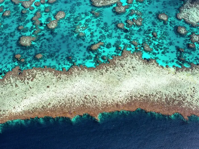 Framed Print : The Great Barrier Reef