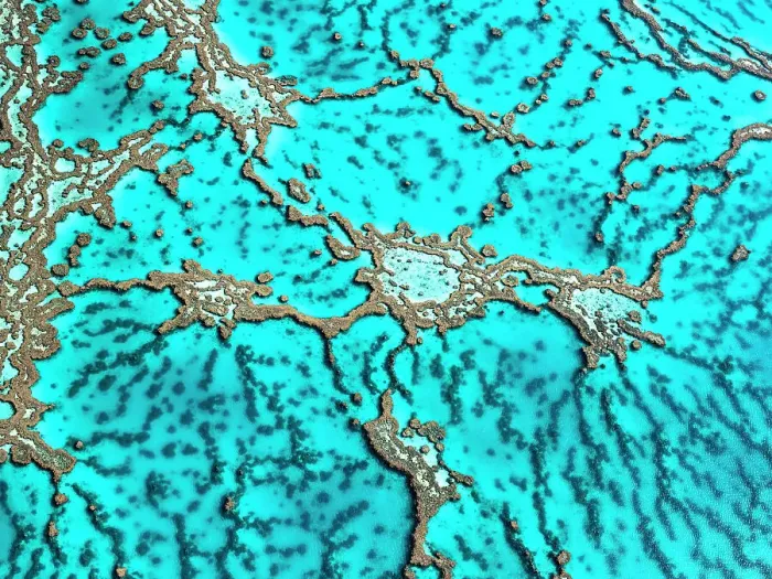 Framed Print : The Great Barrier Reef Framed Print : The Great Barrier Reef